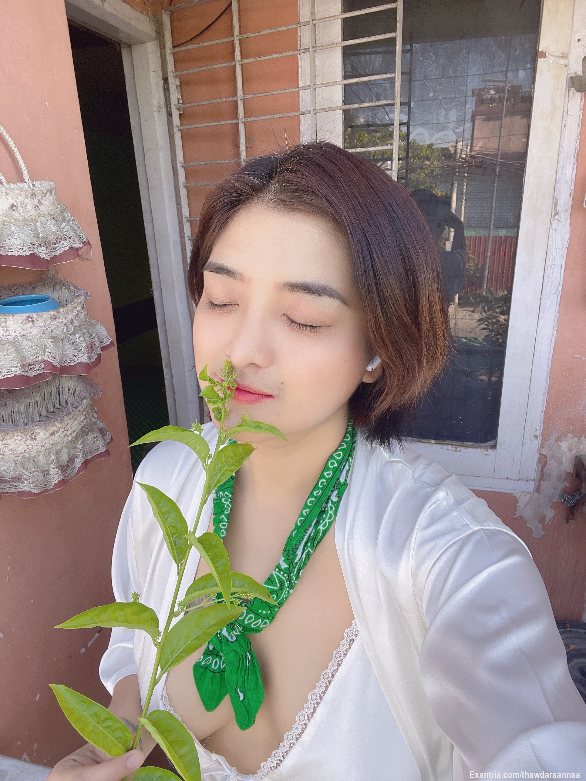 Life with a girl who loves every plant 🌱 she meets. Come subscribe to our beautiful little universe 🌹☁️💚I am Jasmine ✨🍂 https://exantria.com/thawdarsannsa🧜‍♀️🤍🫦