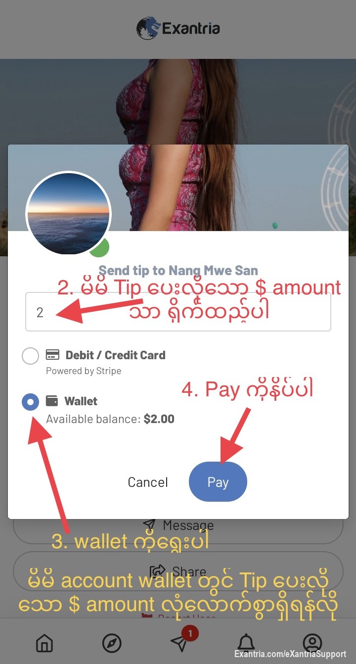 Tip ​ပေးနည်း 

Exantria Website တွင် မိမိနှစ်သက် သ​ဘောကျ​သော Model ကို Tip (​ဘောက်ဆူး) ​ပေးနည်း

user အ​နေနှင့် မိမိက Tip (​ဘောက်ဆူး) ​ပေးလို​သော Model Account တွင်သာ ပြုလုပ်ရန်

Exantria website တွင် Model/creator account မှ တစ်ဆင့် Tip ​​ပေးခြင်းနှင့် 
Exantria website ရှိ Message မှ တစ်ဆင့် Tip ​ပေးခြင်း နည်းလမ်း နှစ်ခု