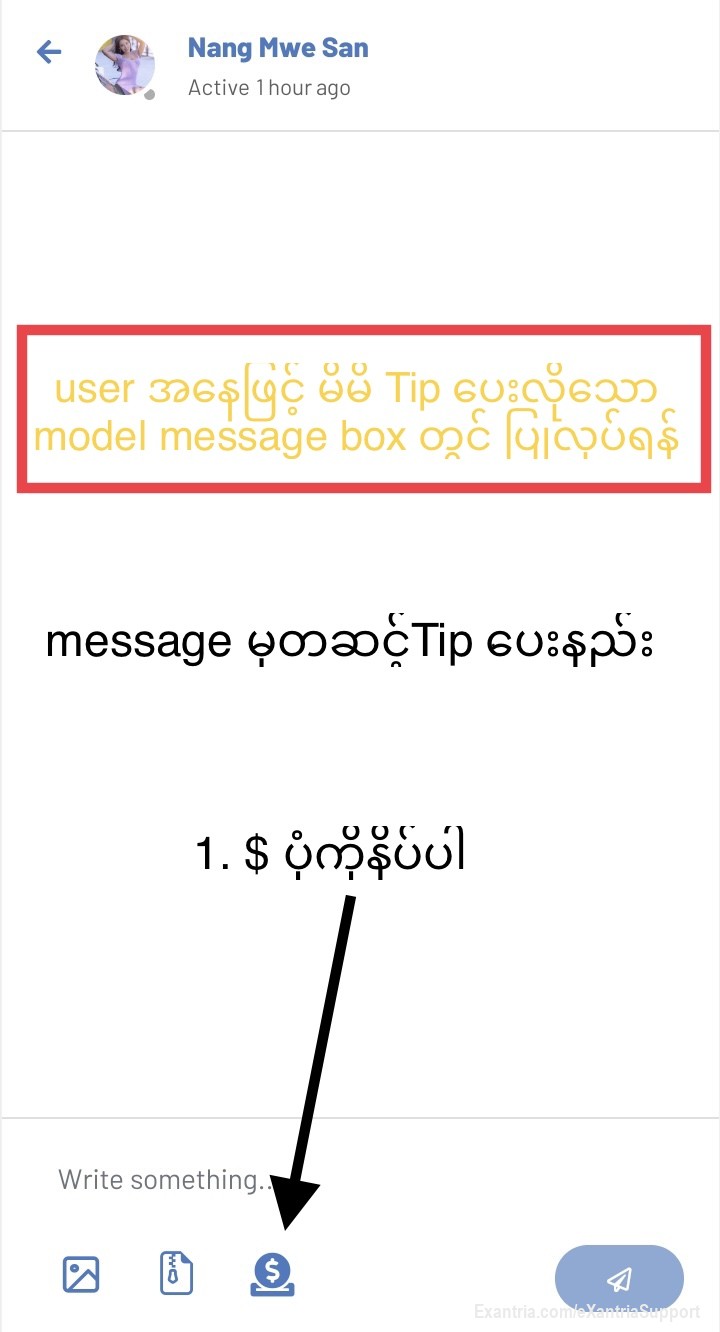 Tip ​ပေးနည်း 

Exantria Website တွင် မိမိနှစ်သက် သ​ဘောကျ​သော Model ကို Tip (​ဘောက်ဆူး) ​ပေးနည်း

user အ​နေနှင့် မိမိက Tip (​ဘောက်ဆူး) ​ပေးလို​သော Model Account တွင်သာ ပြုလုပ်ရန်

Exantria website တွင် Model/creator account မှ တစ်ဆင့် Tip ​​ပေးခြင်းနှင့် 
Exantria website ရှိ Message မှ တစ်ဆင့် Tip ​ပေးခြင်း နည်းလမ်း နှစ်ခု